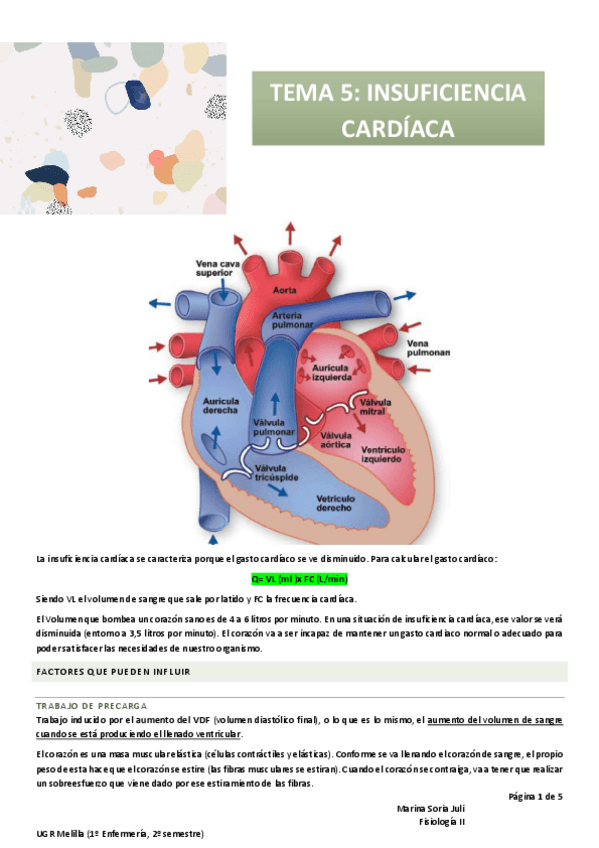 Miniatura del documento T5-FISIO-II.pdf