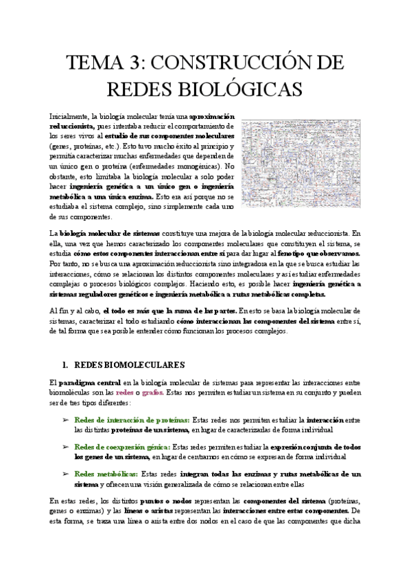 Miniatura del documento TEMA-3-CONSTRUCCION-DE-REDES-BIOLOGICAS.pdf