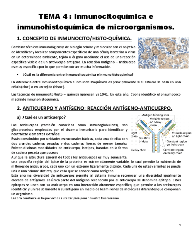 Miniatura del documento Tema-4.pdf