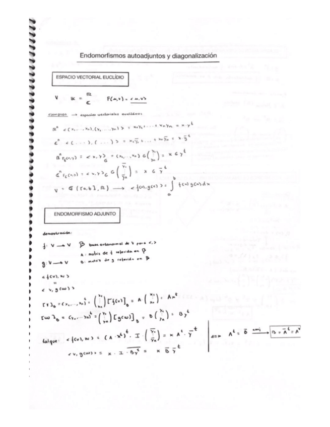 Miniatura del documento Endomorfismos-autoadjuntos-diagonalizacion-y-espacio-euclideo.pdf