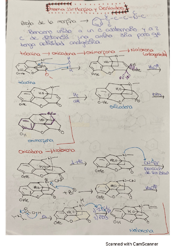Miniatura del documento TEMA-11.pdf