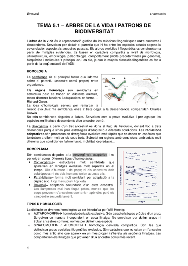Miniatura del documento TEMA-5-EVO.docx