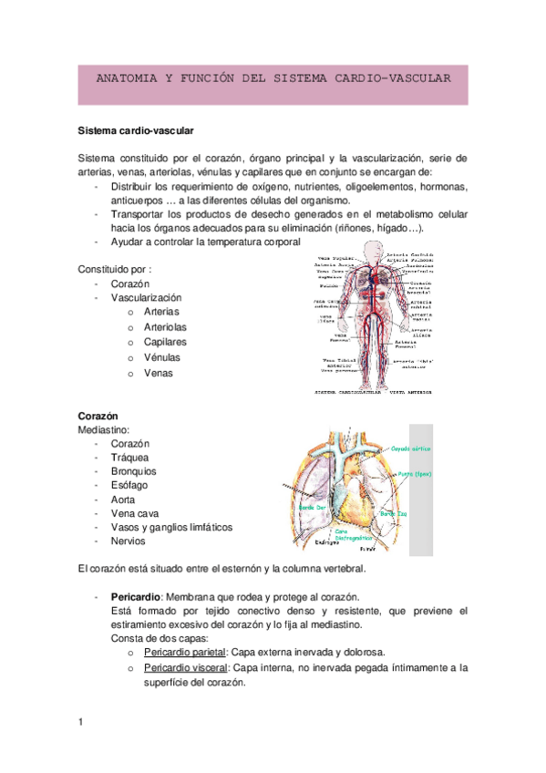 Miniatura del documento TEMA-1.docx