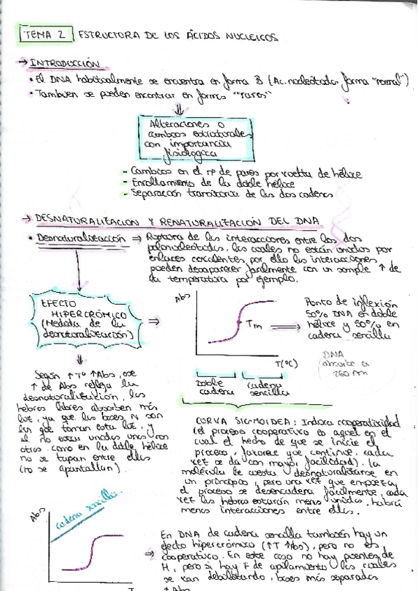 Miniatura del documento TEMA-2.pdf