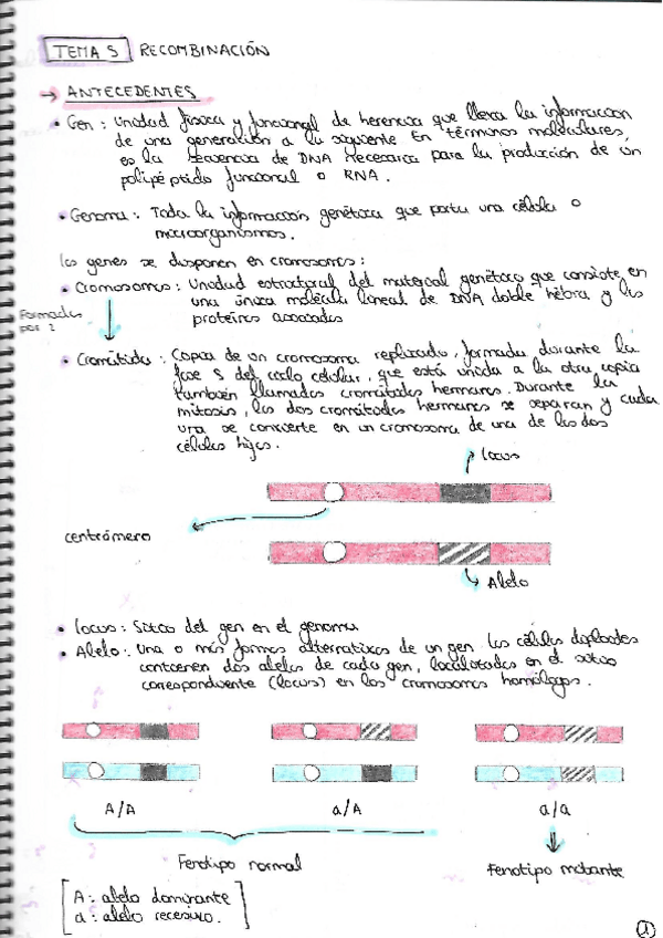 Miniatura del documento TEMA-5.pdf