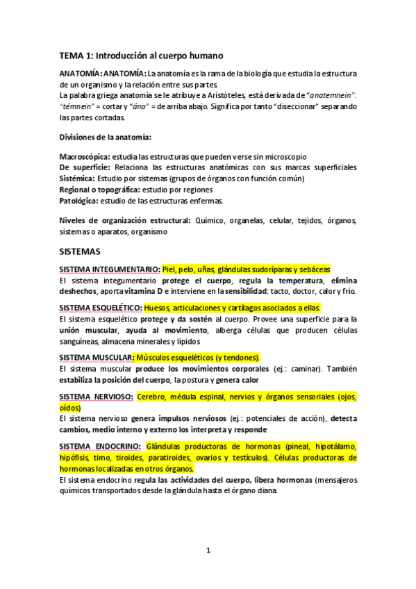 Miniatura del documento ANATOMIA-1o-CUATRIMESTRE.pdf