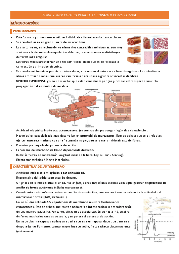 Miniatura del documento TEMA-6-COMPLETO.pdf