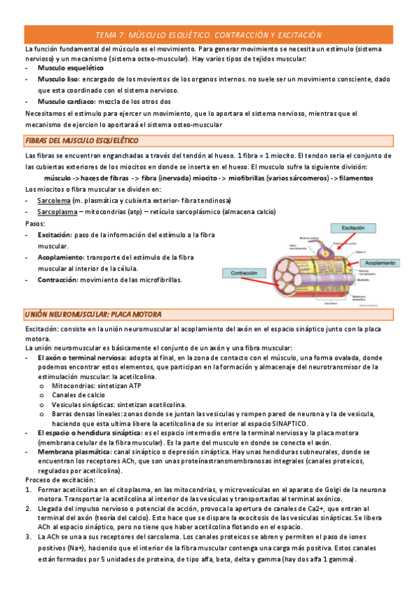 Miniatura del documento TEMA-7-COMPLETO.pdf