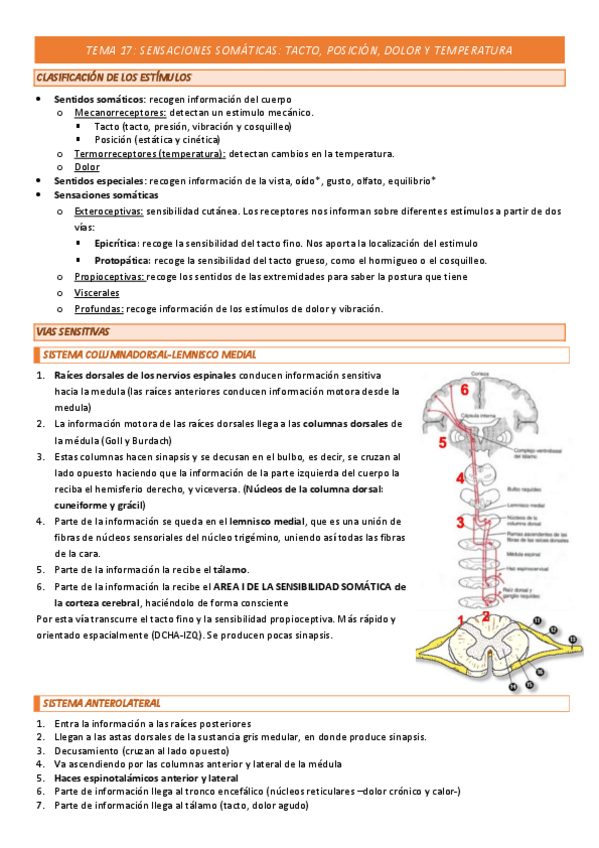 Miniatura del documento TEMA-17-COMPLETO.pdf