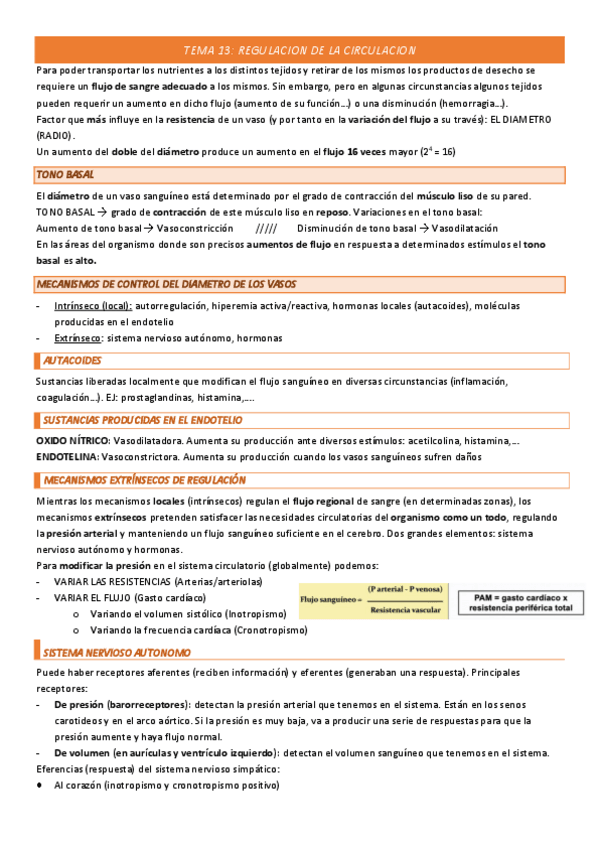 Miniatura del documento TEMA-13-COMPLETO.pdf