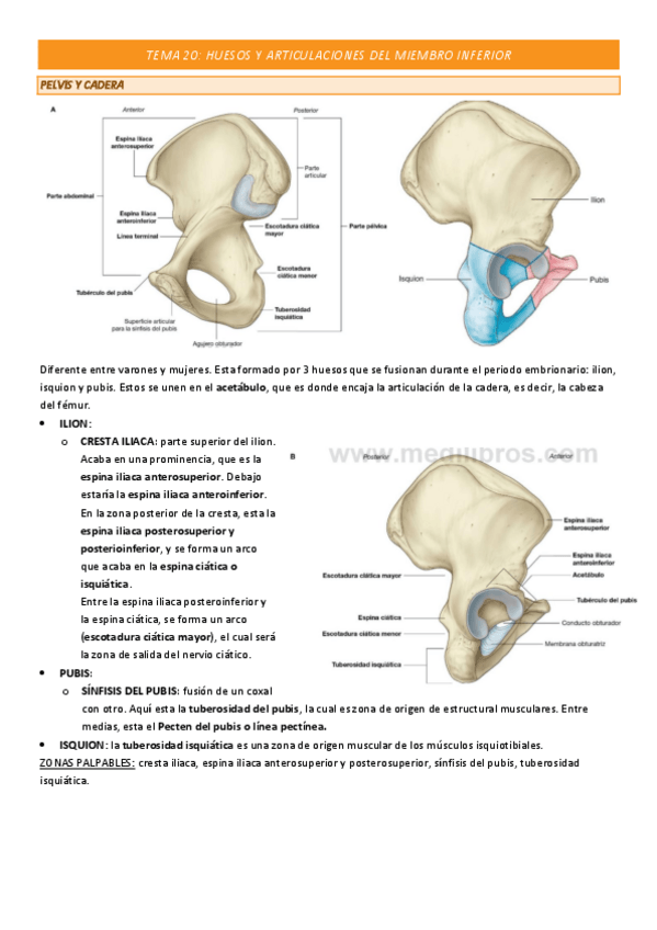 Miniatura del documento TEMA-20-COMPLETO.pdf