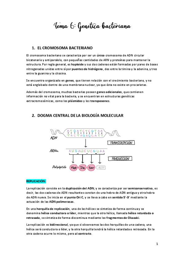 Miniatura del documento TEMA-6.pdf