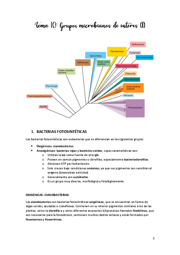 Miniatura del documento TEMA-10.pdf