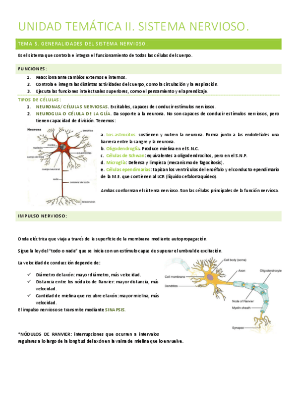 Miniatura del documento UNIDAD-TEMATICA-II.pdf
