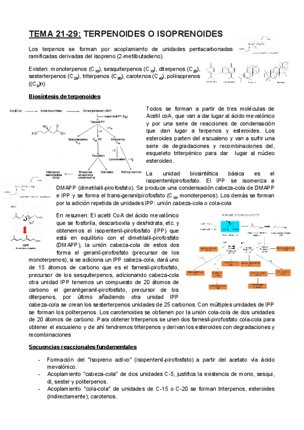 Miniatura del documento TEMA-21-29.pdf