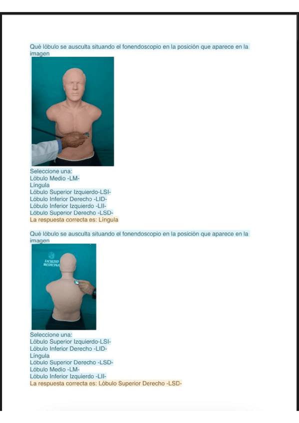 Miniatura del documento P8-Auscultacion-Respiratoria.pdf