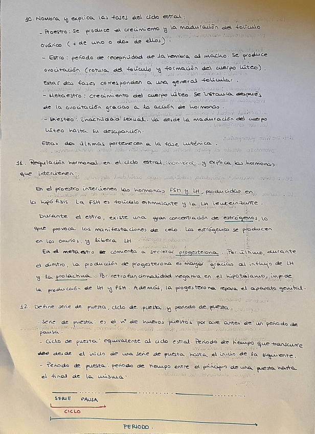 Miniatura del documento IMG5419.jpg