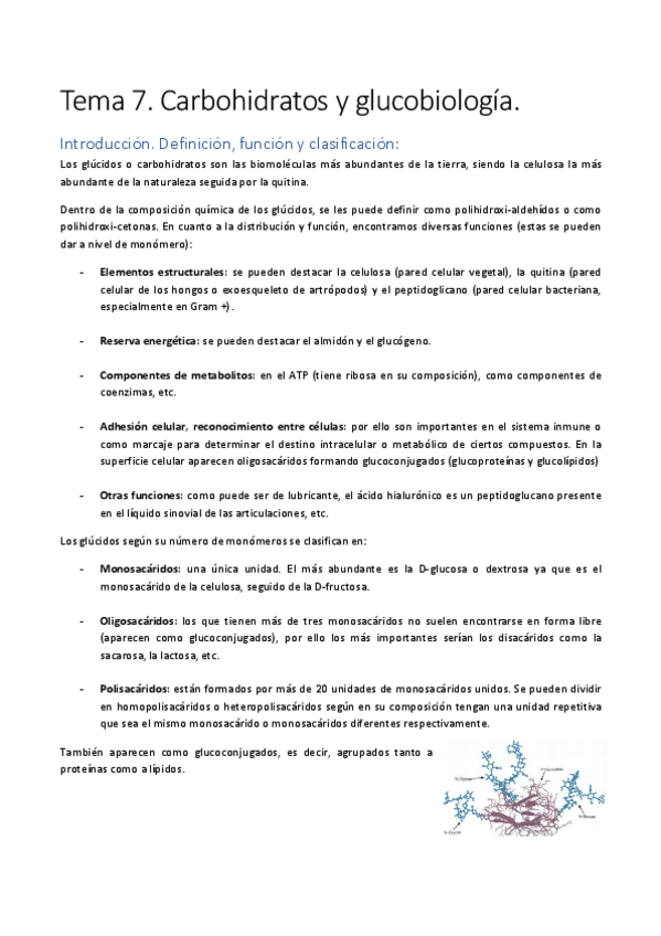Miniatura del documento Tema-7.pdf