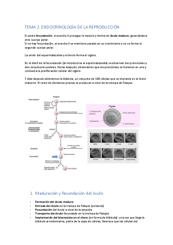 Miniatura del documento Tema-2.pdf