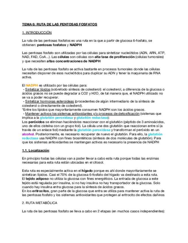 Miniatura del documento Tema-6-Ruta-de-las-pentosas-fosfato.pdf