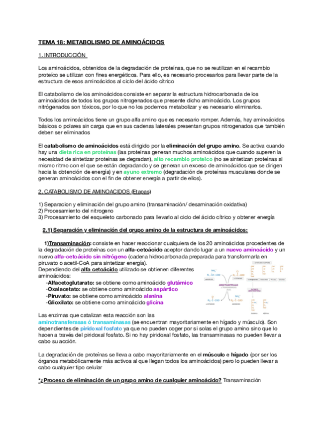 Miniatura del documento Tema-18-Metabolismo-de-aminoacidos.pdf
