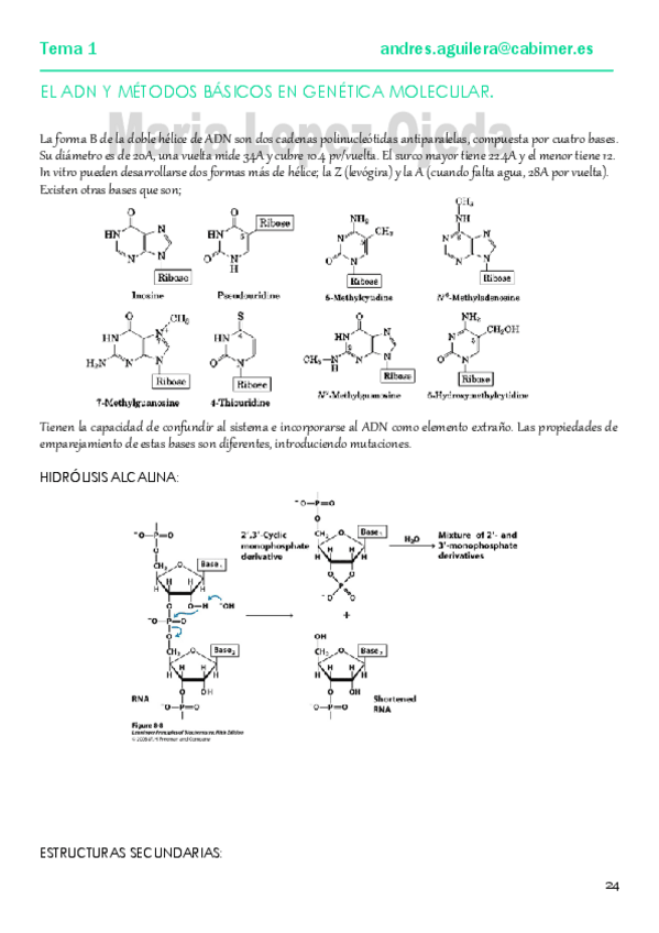 Miniatura del documento GEN.MOLECULAR PARTE I.pdf