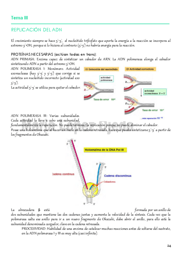 Miniatura del documento GEN.MOLECULAR PARTE II.pdf