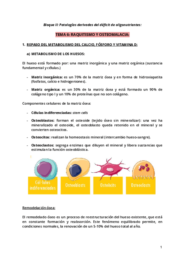 Miniatura del documento Tema-6.pdf