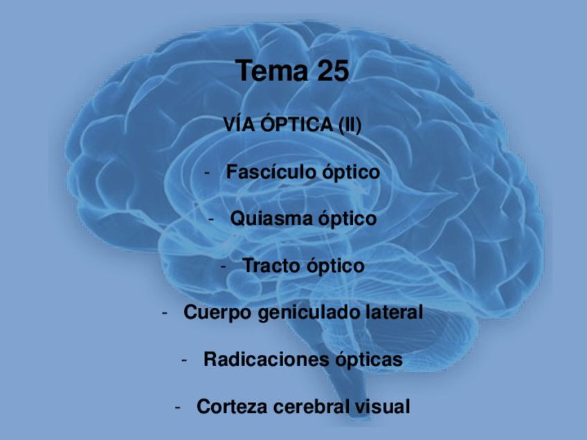 Miniatura del documento Tema-25.pdf