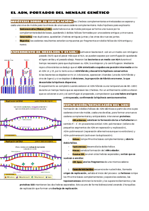Miniatura del documento EL-ADN-1.pdf