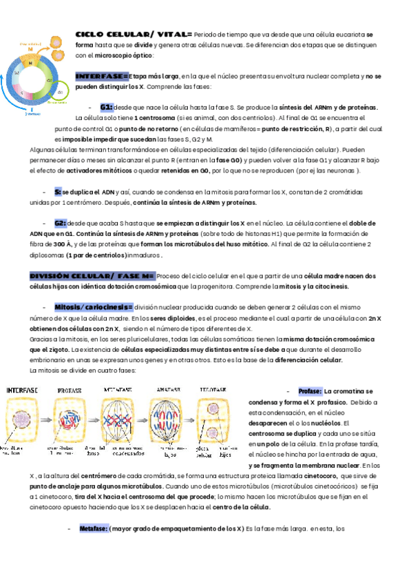 Miniatura del documento CICLO-CELULAR.pdf