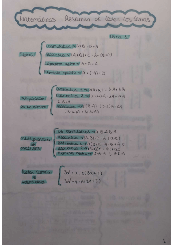 Miniatura del documento Resumen-de-todos-los-temas.pdf