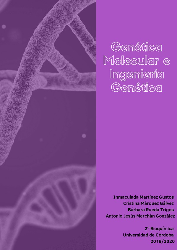 Miniatura del documento Tema-1.pdf