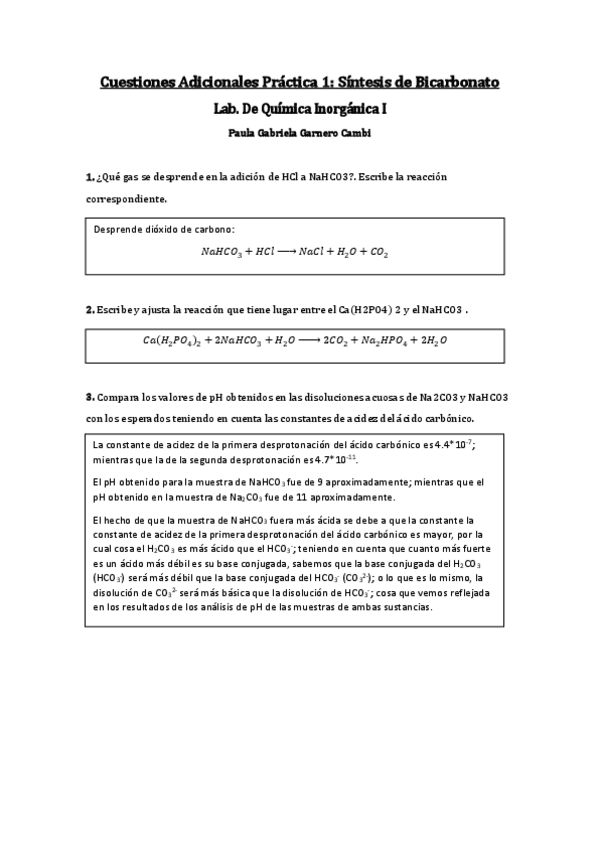 Miniatura del documento CA-P1-Paula-Gabriela-Garnero-Cambi.pdf