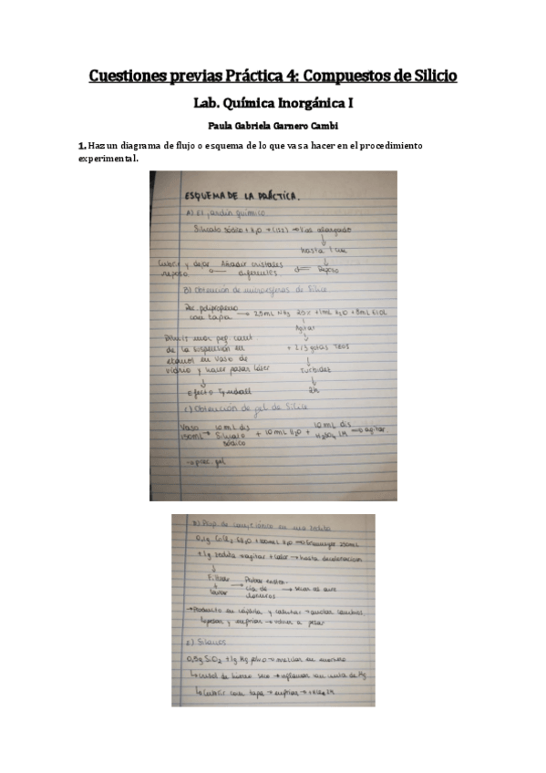 Miniatura del documento CP-P4-Paula-Gabriela-Garnero.pdf