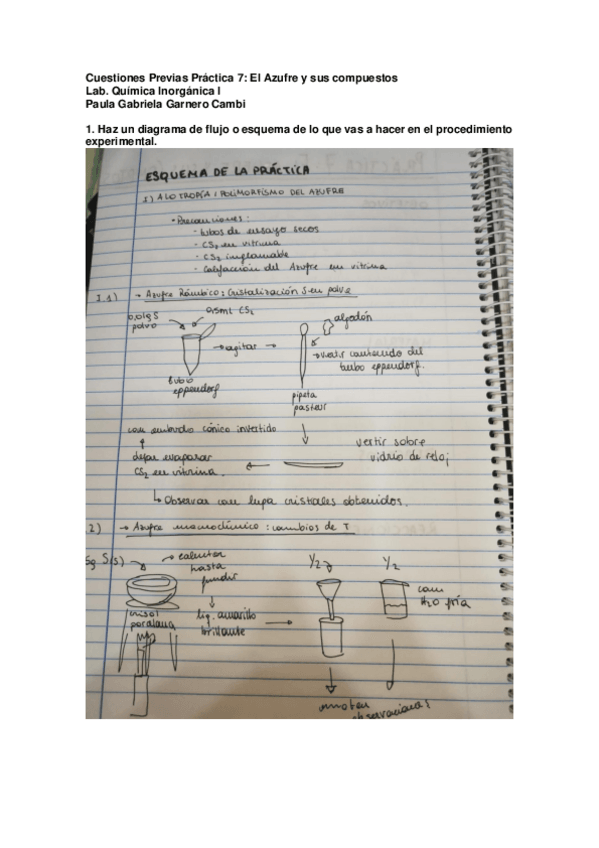 Miniatura del documento CP-P7-Paula-Gabriela-Garnero-Cambi.pdf