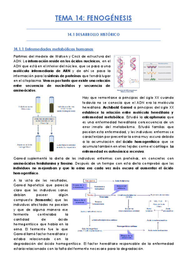 Miniatura del documento TEMA-14.pdf