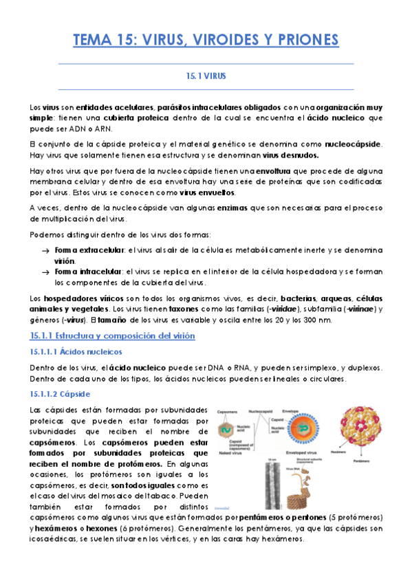 Miniatura del documento TEMA-15.pdf