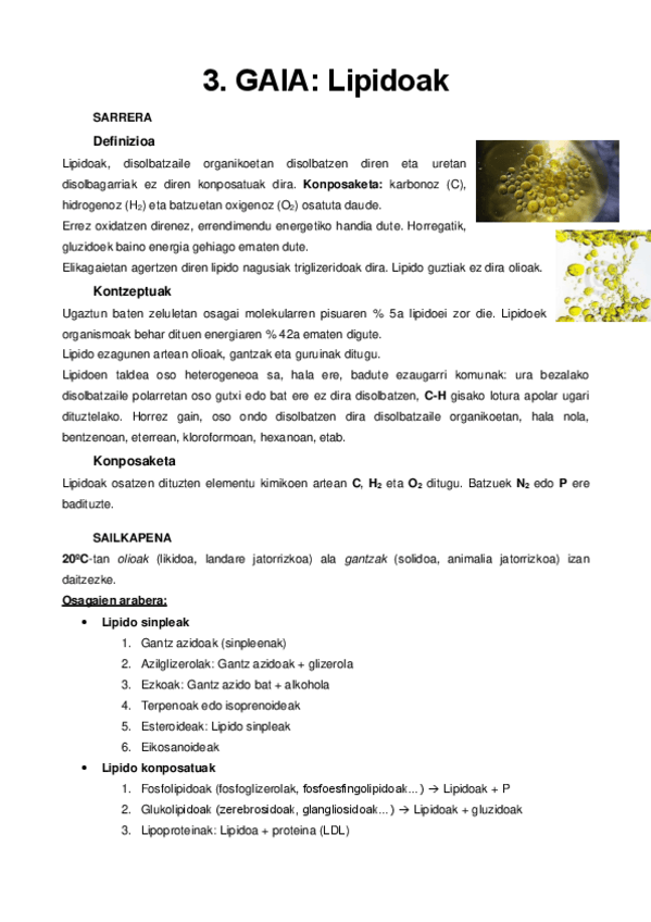 Miniatura del documento 3.pdf