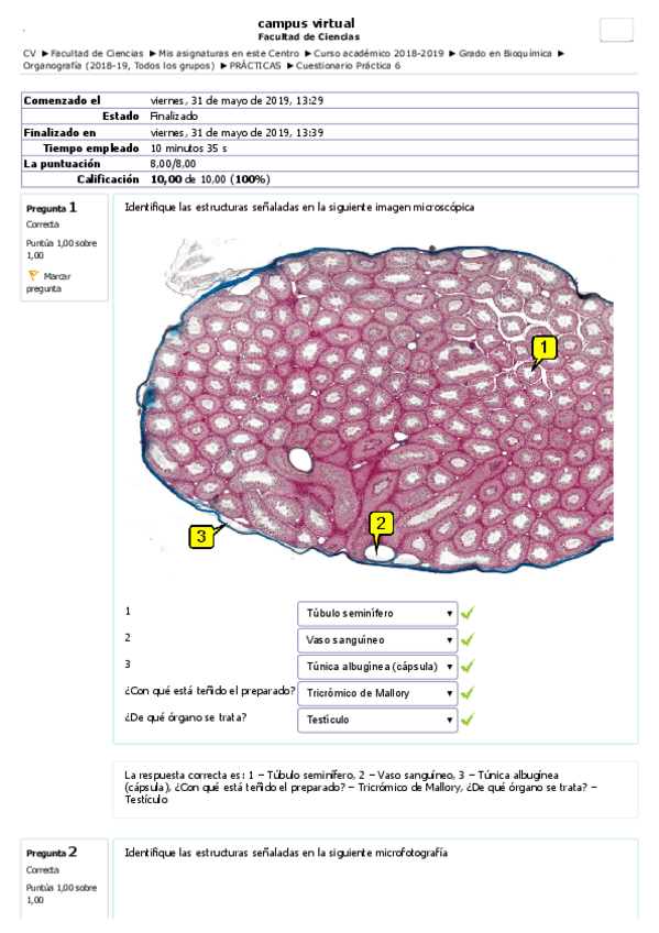 Miniatura del documento Org.pdf