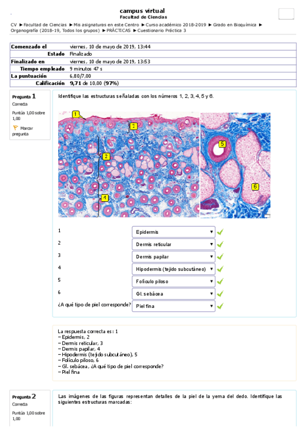 Miniatura del documento Org.pdf