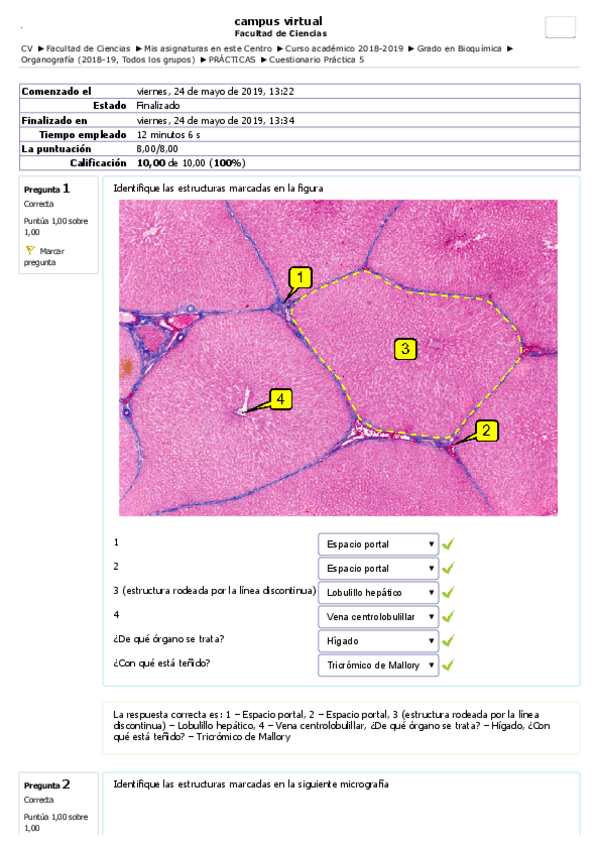 Miniatura del documento Org.pdf
