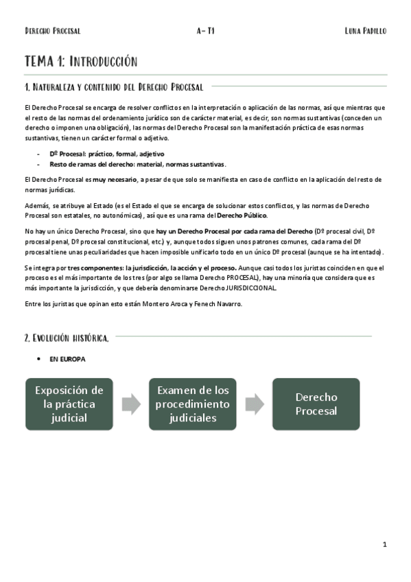 Miniatura del documento A-Procesal-T1.pdf