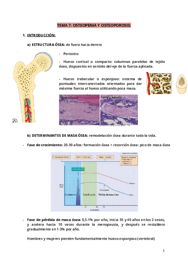 Miniatura del documento Tema-7.pdf