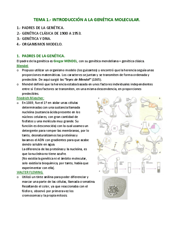 Miniatura del documento APUNTES-Tema-1-.pdf