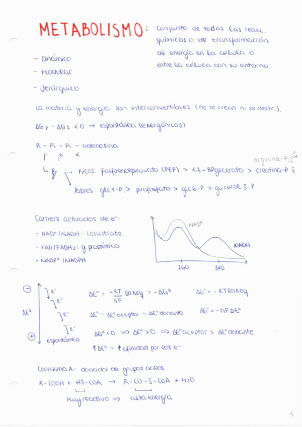 Miniatura del documento Resumen.pdf