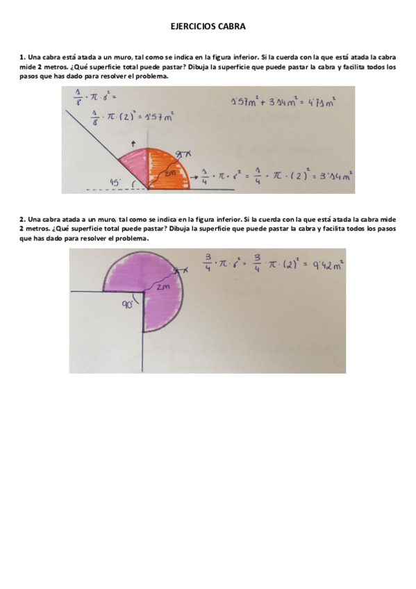 Miniatura del documento EJERCICIOS-CABRA.pdf