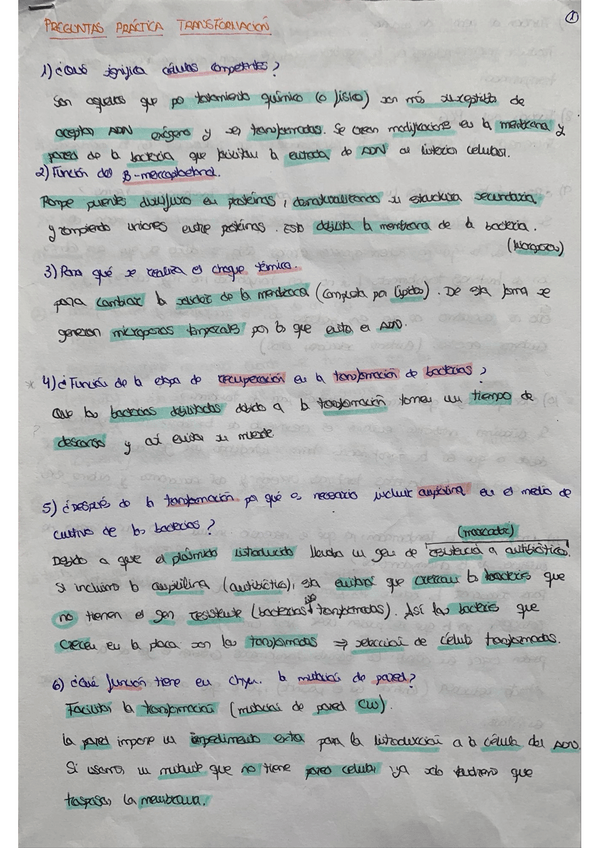 Miniatura del documento Preguntas-practicas-.pdf