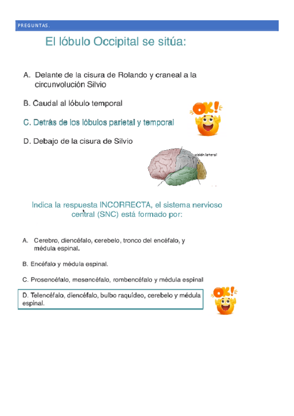 Miniatura del documento PREGUNTAS-DE-REPASO.pdf