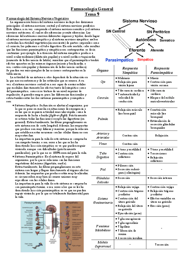 Miniatura del documento Tema-9.pdf